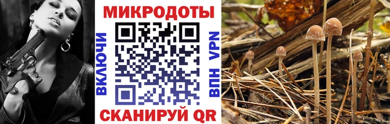 Галлюциногенные грибы Cubensis  hydra ТОР  Горняк 