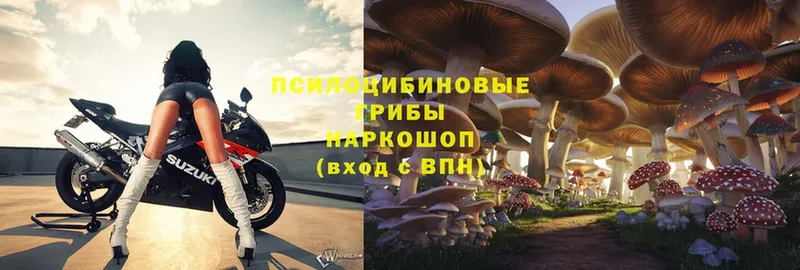 Галлюциногенные грибы Magic Shrooms  Горняк 